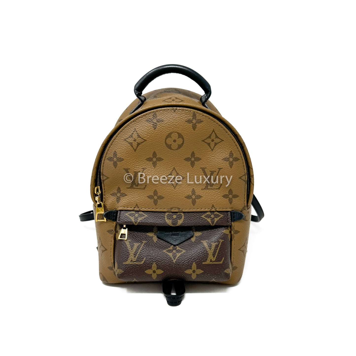 Louis Vuitton Palm Springs Mini Backpack